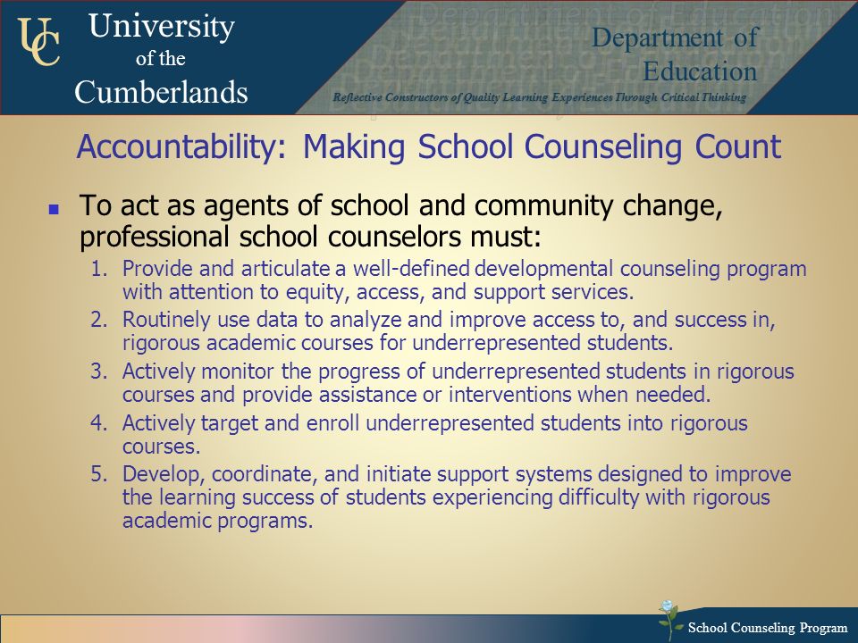 Accountability in school counseling program